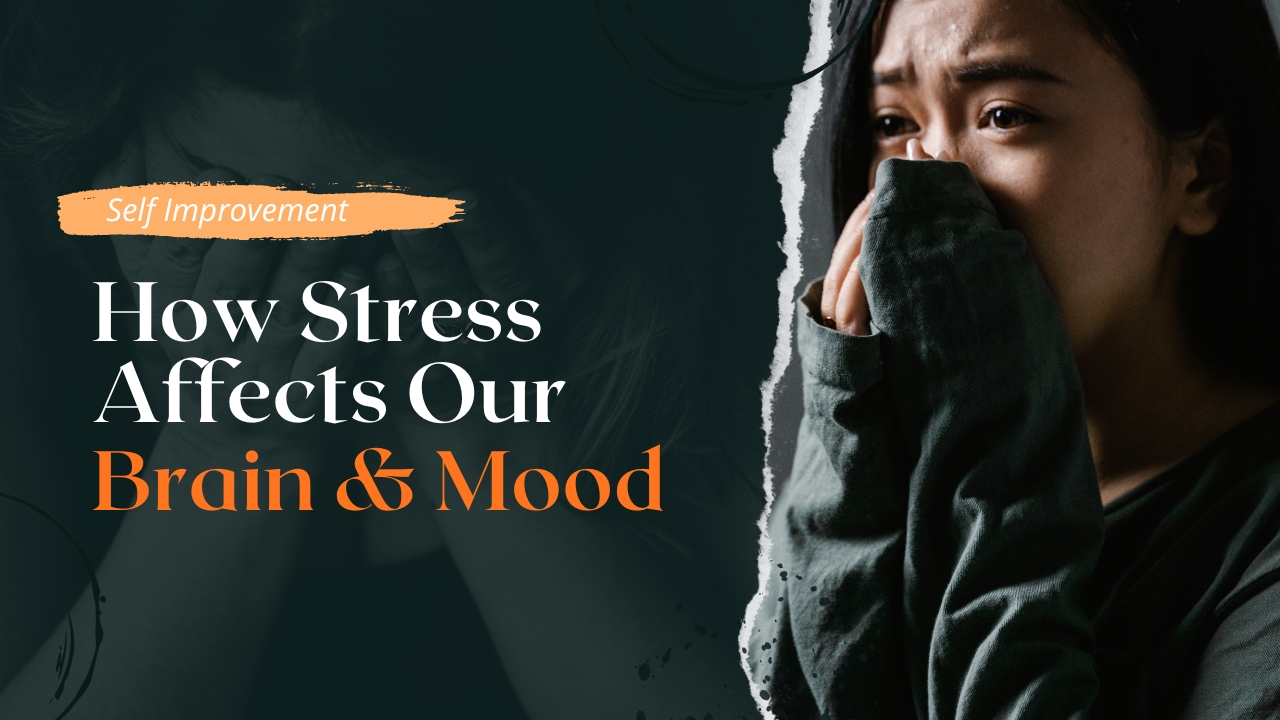 New Study Reveals Link Between Stress, Immune Cells, and Depression